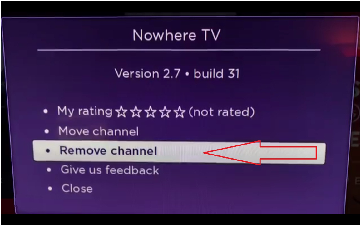 How to remove the private channel from your Roku store