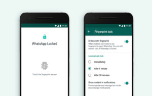 Turn On Fingerprint Lock on WhatsApp For Android
