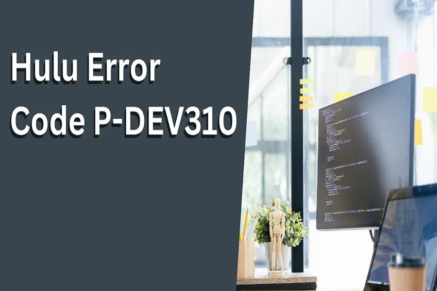 Hulu Error P-Dev310